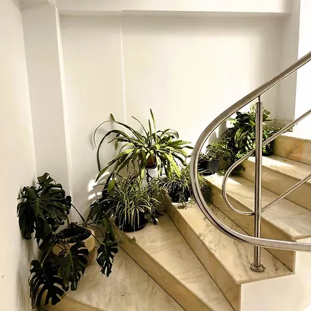 Complex Meridian * Eforie Nord