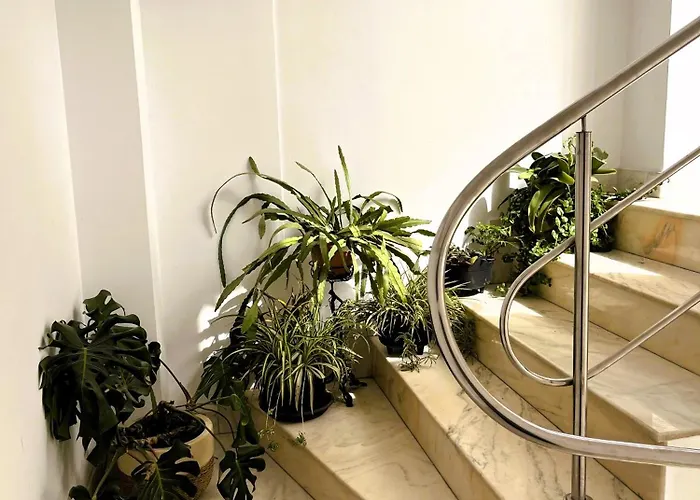 Complex Meridian * Eforie Nord